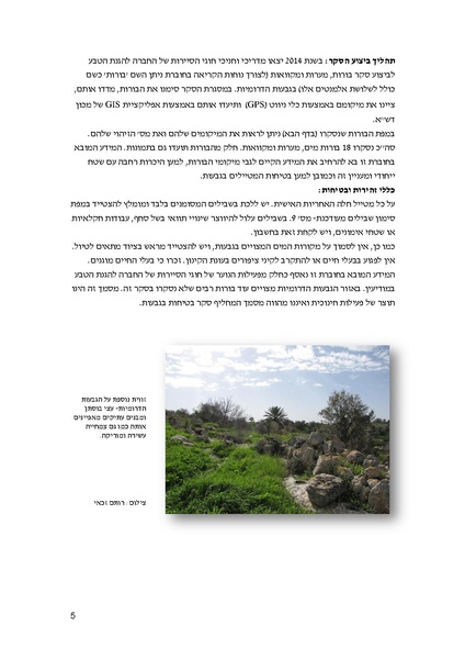 קובץ:BorotGvaot.pdf
