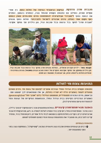 קובץ:HolotBooklet.pdf