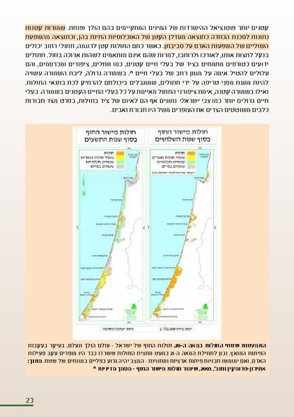 קובץ:HolotBooklet.pdf