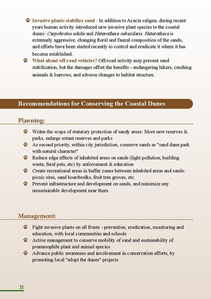 קובץ:HolotBooklet.pdf