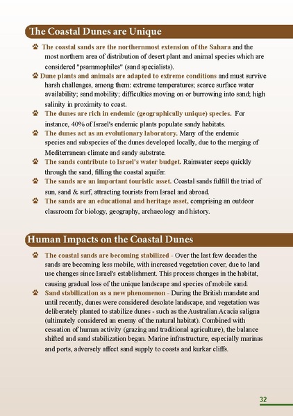 קובץ:HolotBooklet.pdf