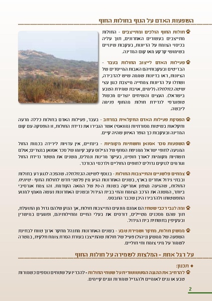קובץ:HolotBooklet.pdf