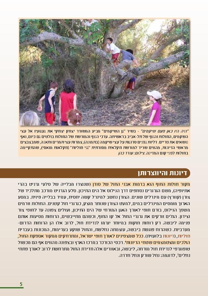 קובץ:HolotBooklet.pdf