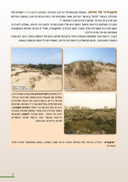 קובץ:HolotBooklet.pdf
