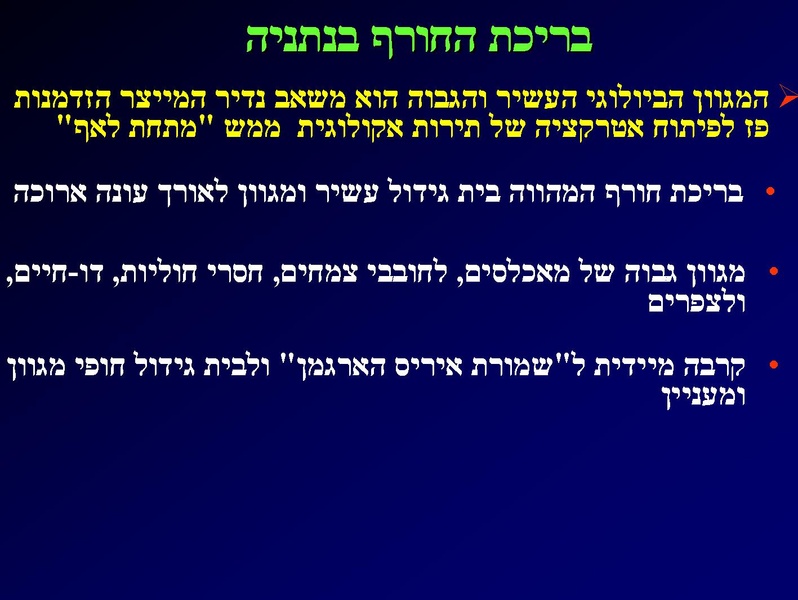 קובץ:SarigGafny.pdf