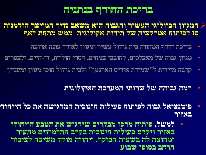 קובץ:SarigGafny.pdf