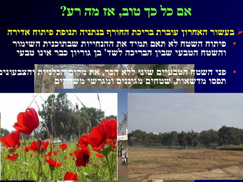 קובץ:SarigGafny.pdf