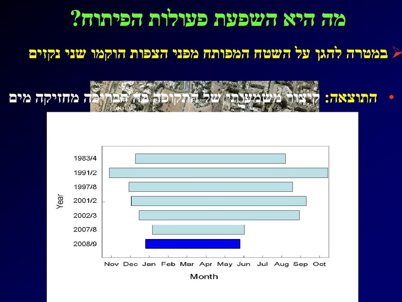 קובץ:SarigGafny.pdf