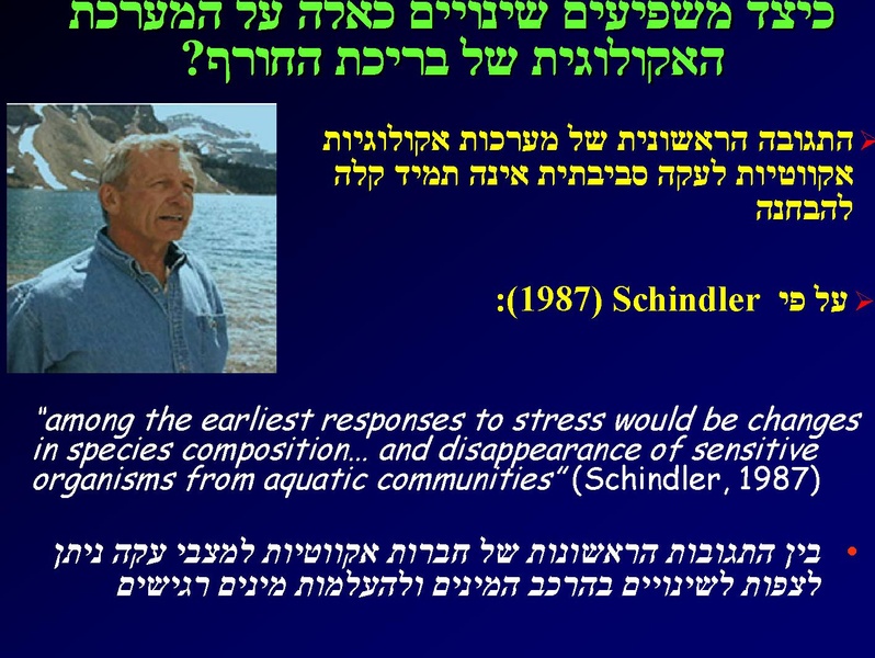 קובץ:SarigGafny.pdf