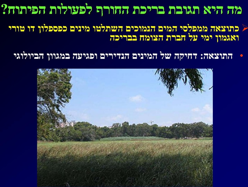 קובץ:SarigGafny.pdf