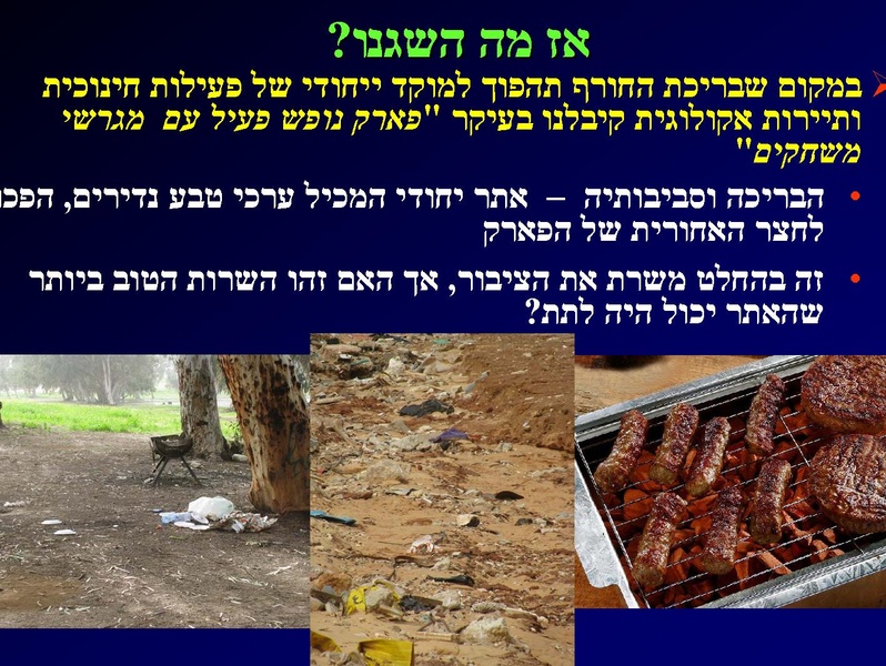 קובץ:SarigGafny.pdf