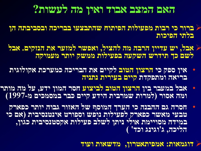 קובץ:SarigGafny.pdf