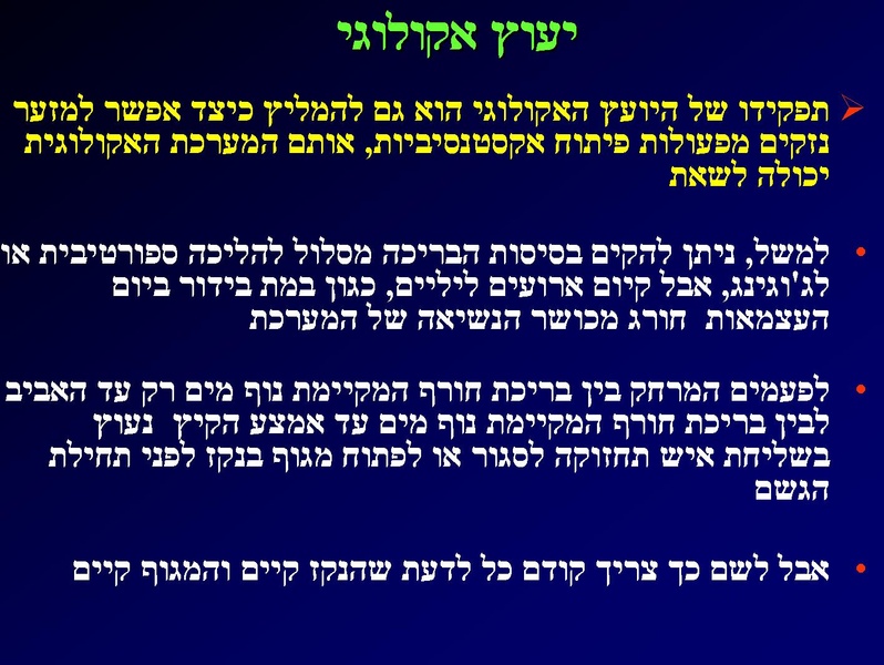 קובץ:SarigGafny.pdf