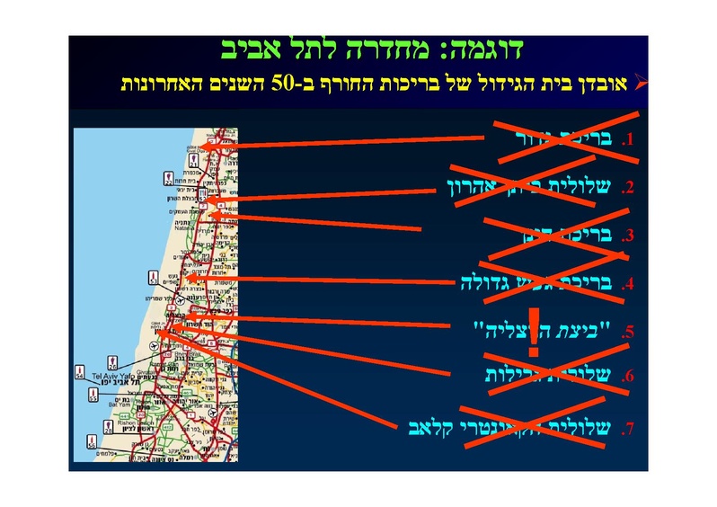 קובץ:SarigGafny.pdf