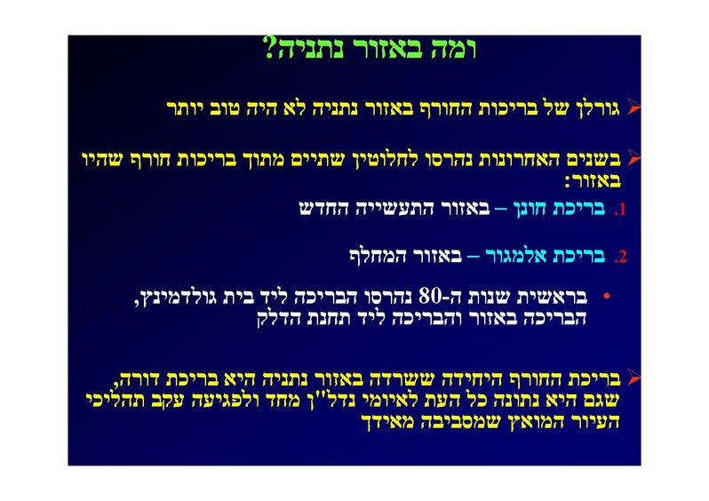 קובץ:SarigGafny.pdf