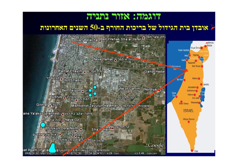 קובץ:SarigGafny.pdf