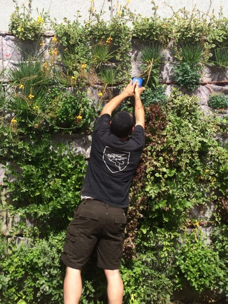 קובץ:Img 3530.jpg