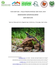 → לדף הקודם