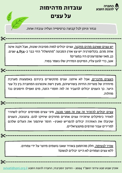 קובץ:עובדות מדהימות על עצים.pdf