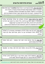 לדף הבא ←