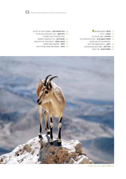 קובץ:Threats13(1).pdf