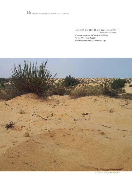 קובץ:Threats13(1).pdf