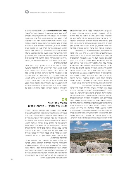 קובץ:Threats13(1).pdf