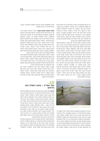 קובץ:Threats13(1).pdf