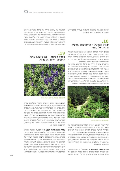 קובץ:Threats13(1).pdf