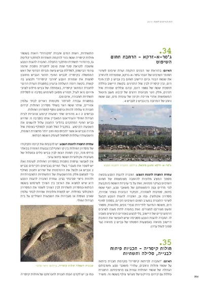קובץ:Threats13(1).pdf