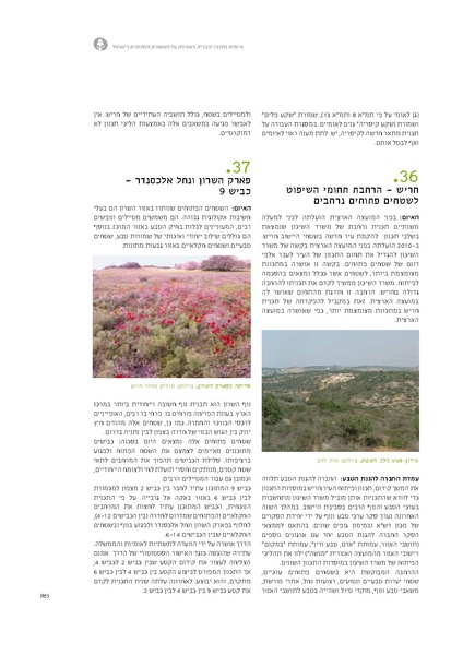 קובץ:Threats13(1).pdf