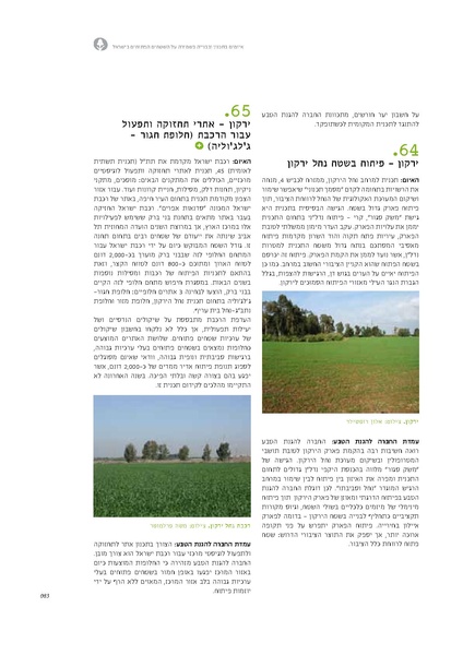 קובץ:Threats13(1).pdf