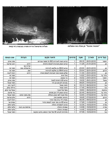 קובץ:Tazpit(1).pdf