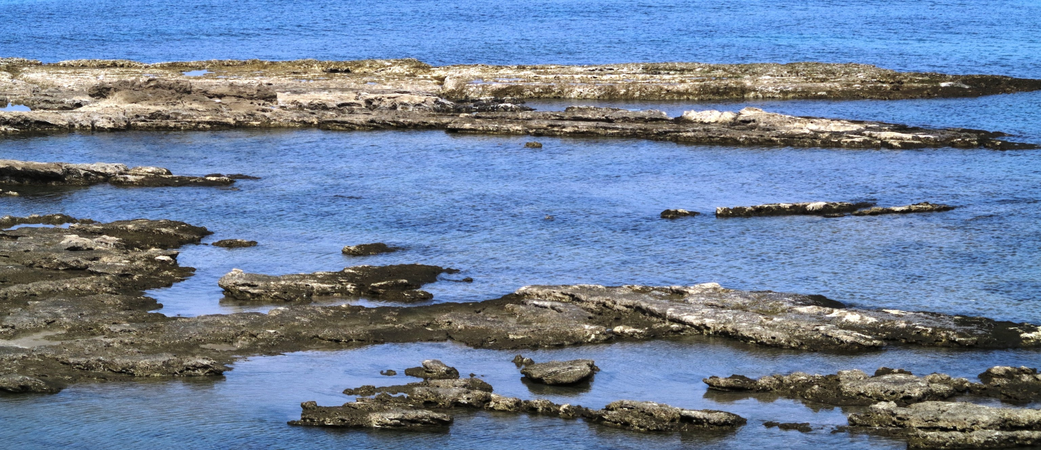 תמונת רקע לדף נייר עמדה: הסביבה הימית