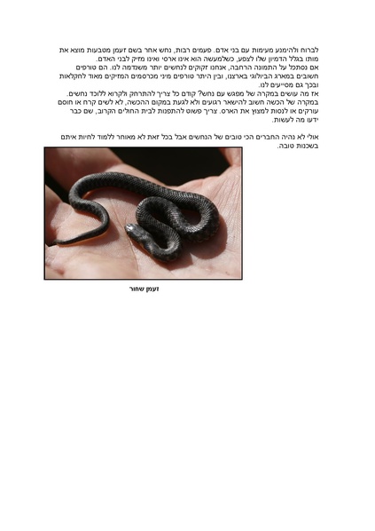 קובץ:Nahash.pdf