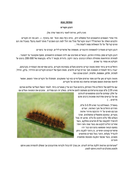 קובץ:Dubon.pdf