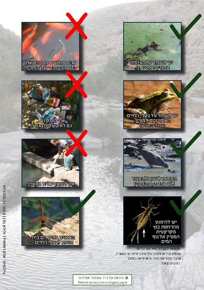 קובץ:EcologySprings.pdf