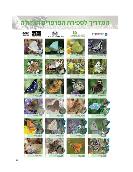 קובץ:EducationButerfliesCount(1).pdf