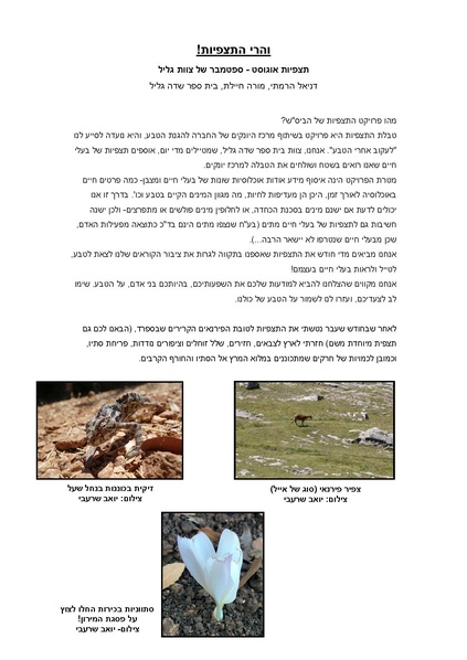 קובץ:Alon2(1).pdf