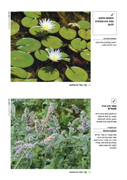 קובץ:TEV Water Plant v.pdf