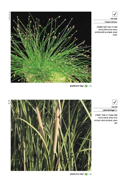 קובץ:TEV Water Plant v.pdf