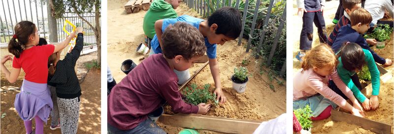 קובץ:Boker madaim.jpg