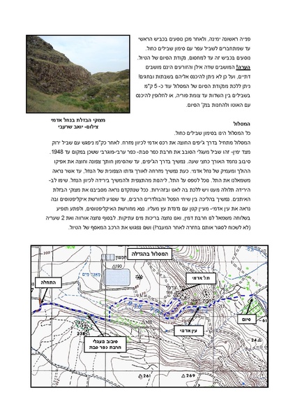 קובץ:Alon2.pdf