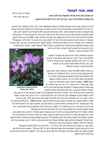 קובץ:Ima.pdf