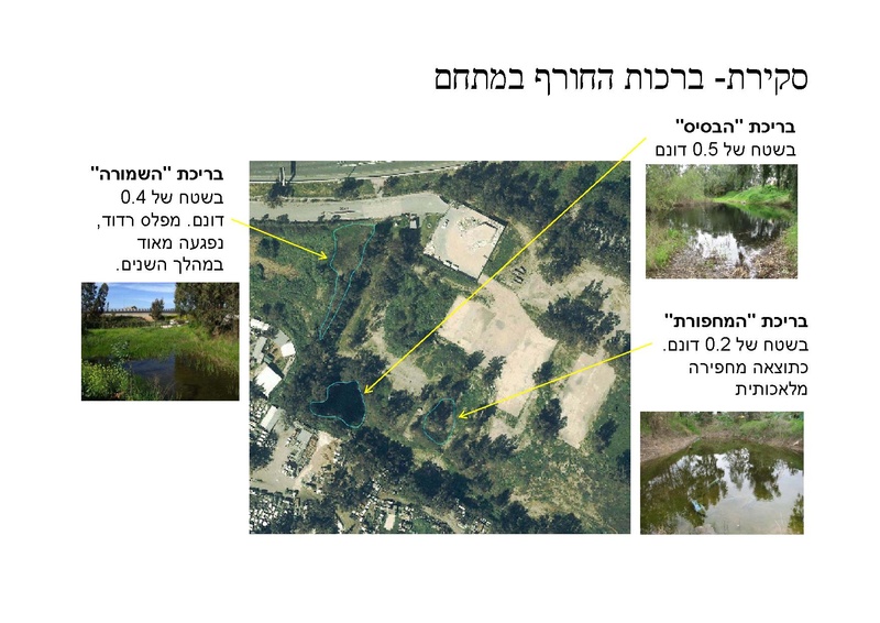 קובץ:AvitalGazitLironGoren.pdf