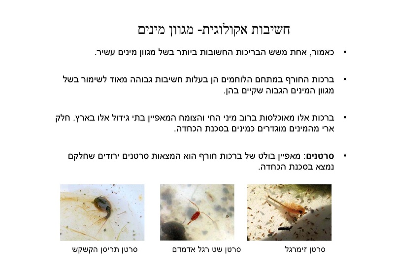 קובץ:AvitalGazitLironGoren.pdf