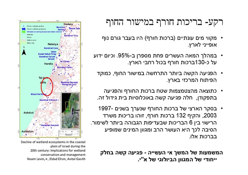 קובץ:AvitalGazitLironGoren.pdf