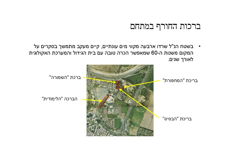 קובץ:AvitalGazitLironGoren.pdf