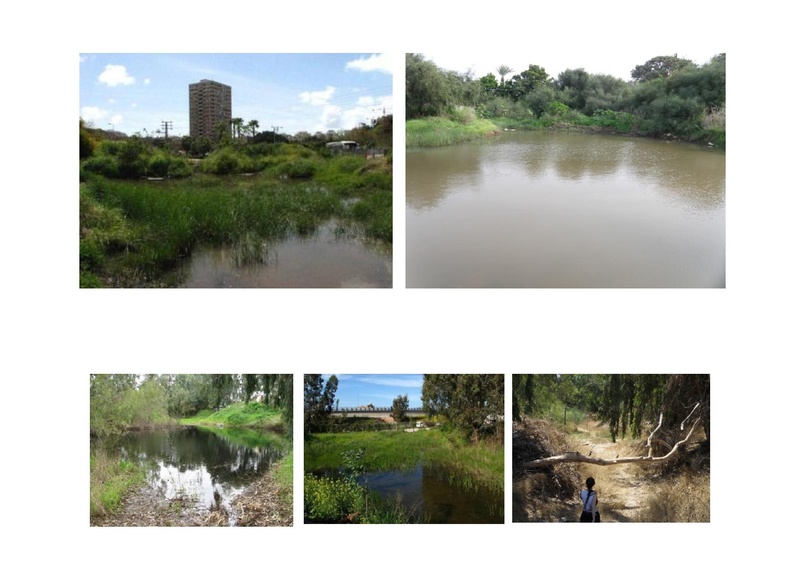 קובץ:AvitalGazitLironGoren.pdf