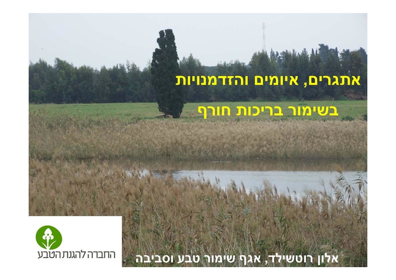 קובץ:AlonRotschild.pdf